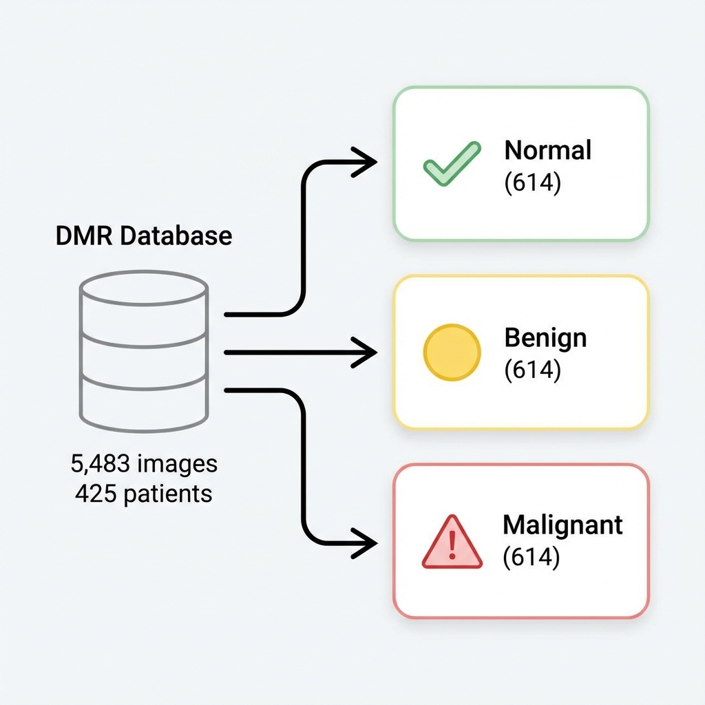 Dataset distribution and classification flow